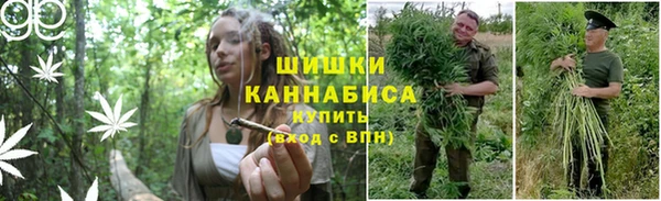 ALPHA PVP Богородск