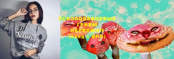 стаф Богданович