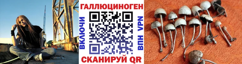 Галлюциногенные грибы Cubensis  ОМГ ОМГ tor  Володарск  купить закладку 